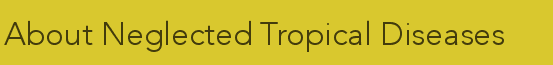 About Neglected Tropical Diseases